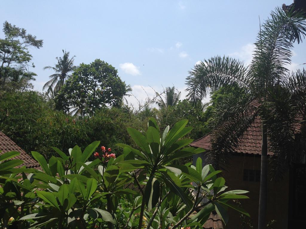 Ubud Rooms B&B Room photo