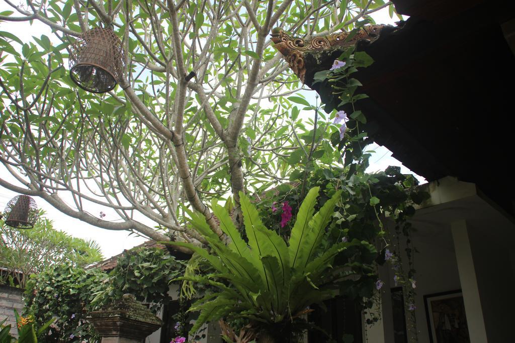 Ubud Rooms B&B Exterior photo